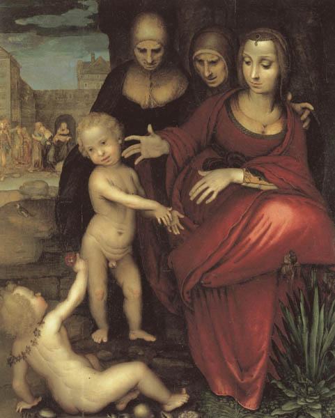 YANEZ DE LA ALMEDINA, Fernando St.Anne,the Virgin;St Elizabeth,St,john,and the Christ Child Sweden oil painting art
